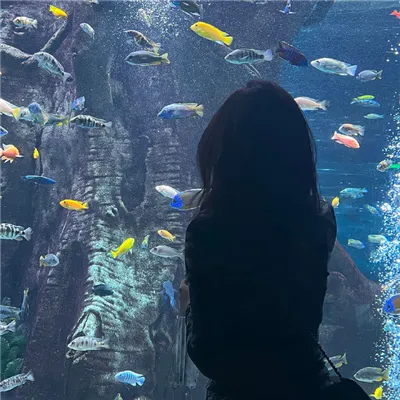 图片[11]-蓝色致郁系微信女头 清冷感的氛围女头合集-头像论坛-综合-小优栏